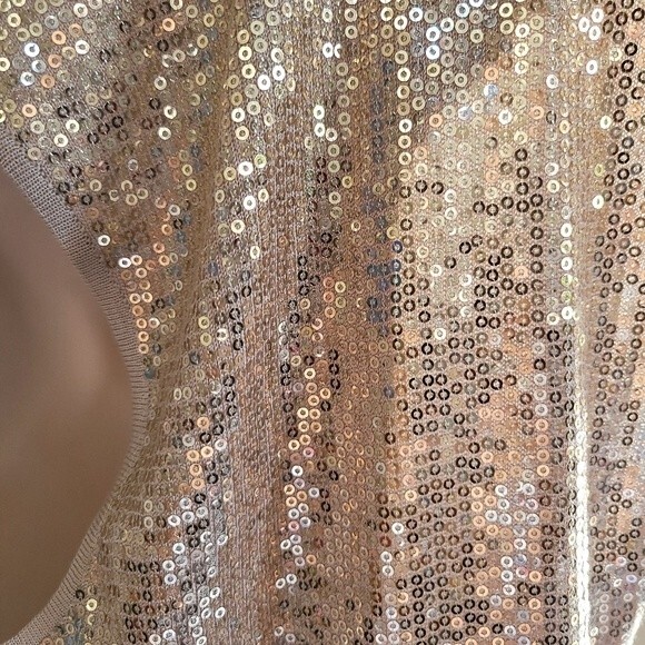 Caché Champagne/Nude Sequins Boat Neck Blouse Size Small - Picture 6 of 7